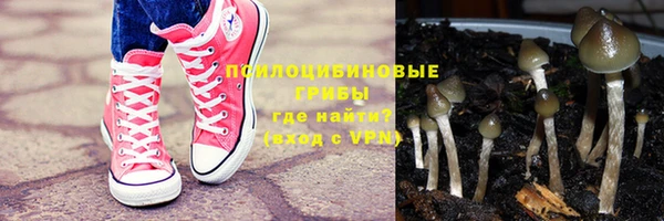 бутират Бородино